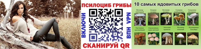 Галлюциногенные грибы прущие грибы  Нерехта 